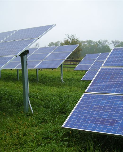 Ground-mount solar array at Black River Farms